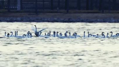 閮戝窞椋為笩瀹跺洯鍥剧墖澶у叏,閮戝窞椋為笩瀹跺洯椋庢櫙