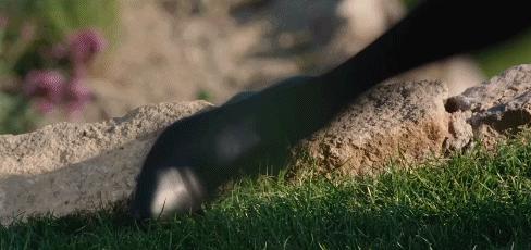 欧美众多女特工电影推荐,十部冷艳女特工电影