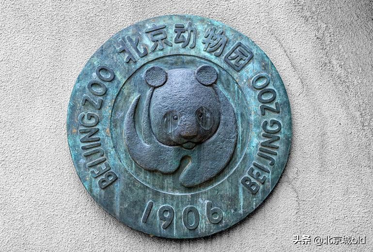 北京人的记忆北冰洋,陶然亭大雪山对北京孩子的意义