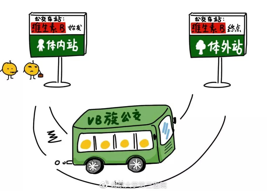 同型半胱氨酸与三高有什么关系 (有高血压同型半胱氨酸高)