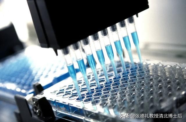 西班牙科学家解读新冠,西班牙最新研究新冠源头