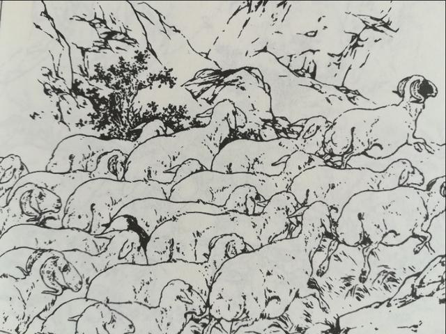 如何判断小人书收藏价值,如何辨别小人的书籍