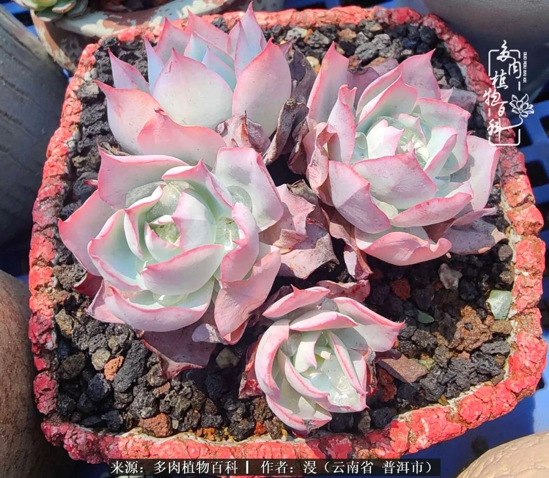 风过留痕讲的啥,风过留痕朗诵