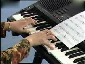 怎样学习电子琴初学者入门,学习电子琴入门零基础教学