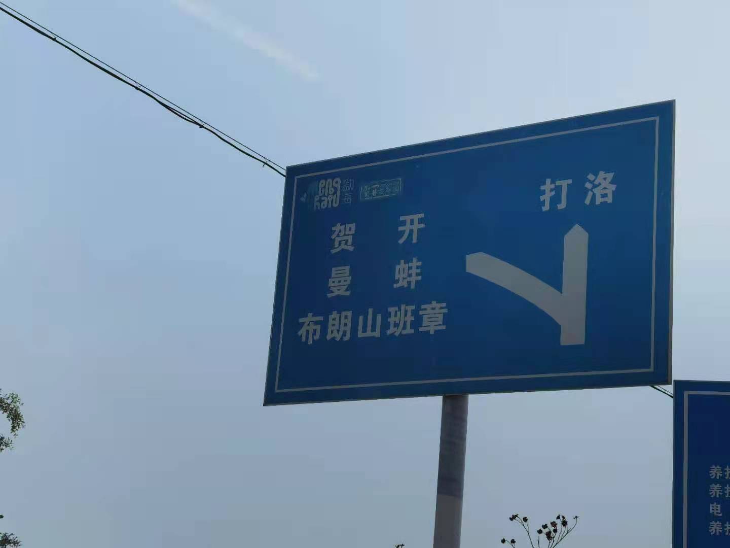 普洱茶入门怎么选茶,如何挑选普洱茶口粮茶