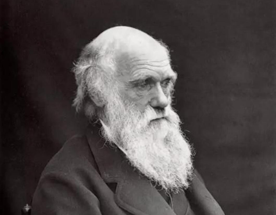 各人种之间为何不存在生殖隔离？黑种人、白种人、黄种人发展史