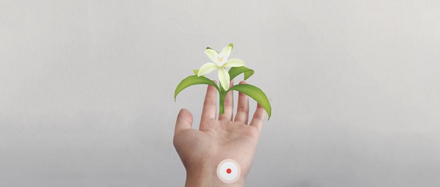 为什么今天都在发“想要你栽在我手里”？难道因为她们手里有土？