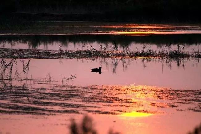 渭南大荔哪里好玩的地方,渭南大荔周边环境优美的地方