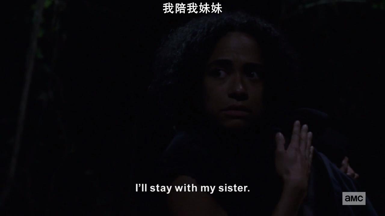 行尸走肉s01,行尸走肉9-12季讲解大全