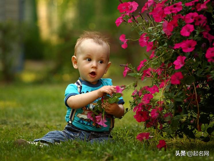 宝宝起名大气的男孩名字大全集,宝宝取名吉祥好听的男孩名字