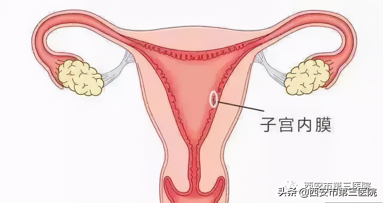 60岁子宫内膜厚度正常范围是多少,子宫内膜厚度标准值应该有多厚