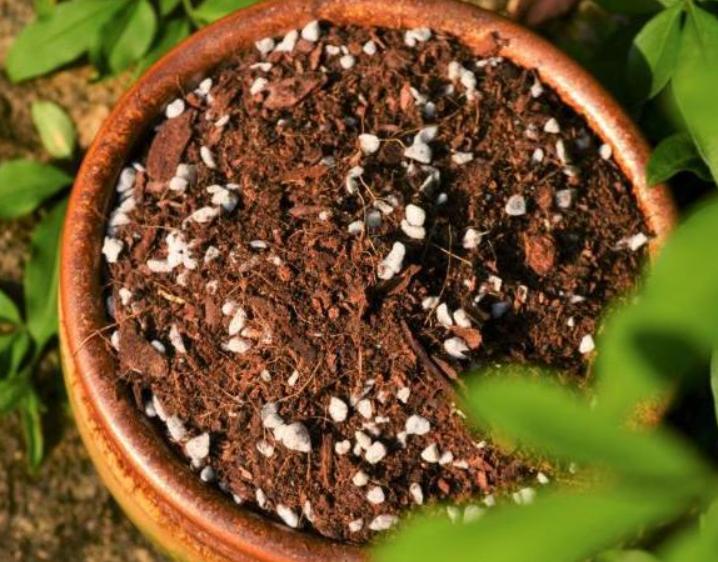 自制花肥酵素哪种最好,自己做酵素花肥怎么操作