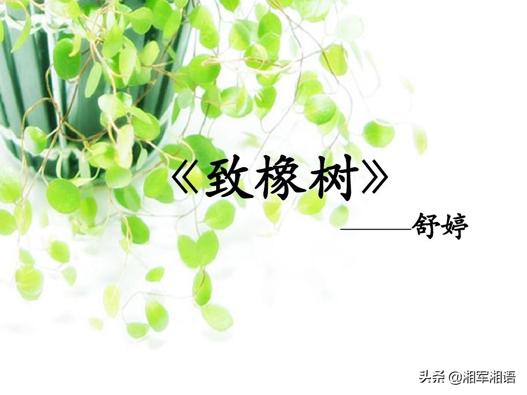 三棵树三生石艺术漆价格,三棵树三生石艺术涂料