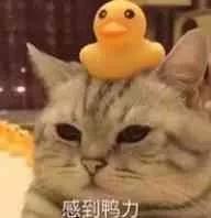 手机自带的音乐软件怎么删除,光荣手机自带软件哪些可以删除