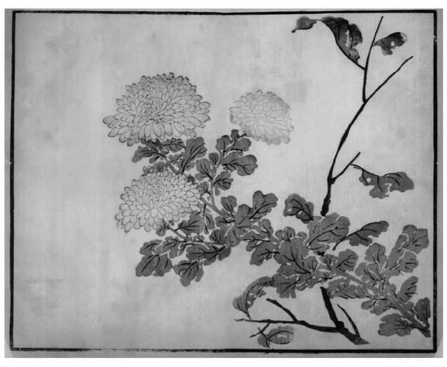 菊花写意画法100幅,简单的写意菊花画法