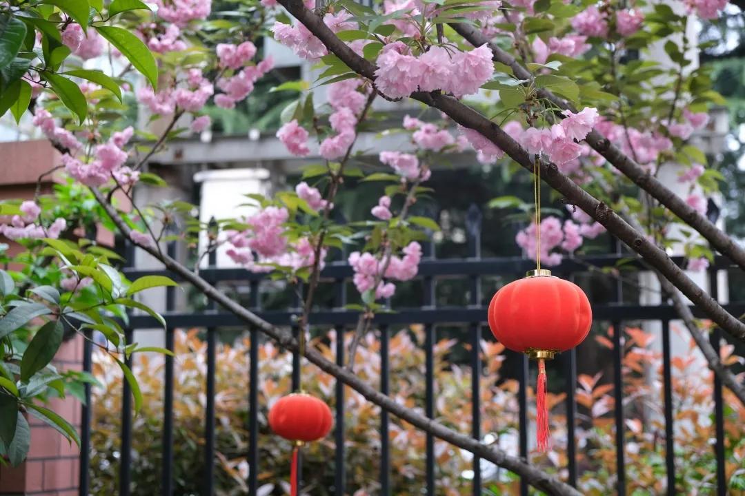 厚植底色行致远砥砺奋进谱新篇——合肥市铜陵新村幼儿园迎评估