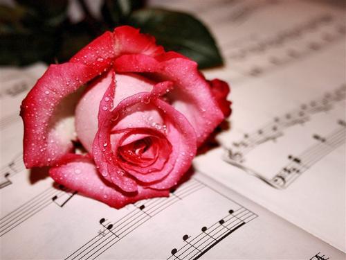 送女朋友礼物排行榜实用型,送女朋友礼物排行榜浪漫