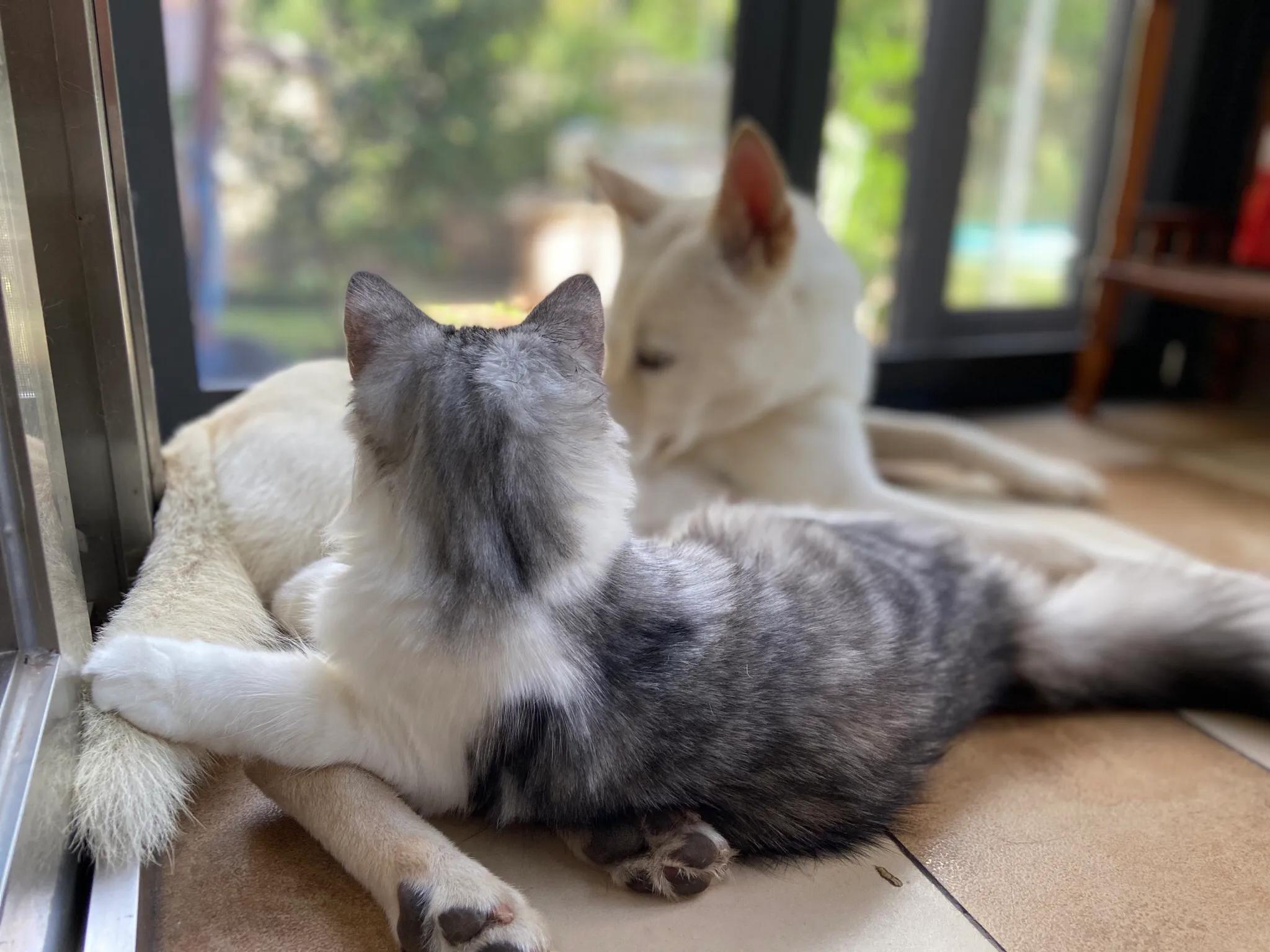 明天我的小屁屁要去深圳了