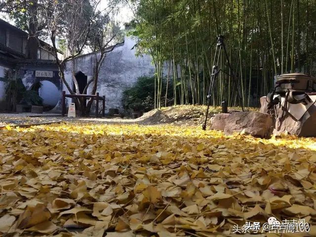 绍兴诗意民宿酒店式公寓,绍兴诗意