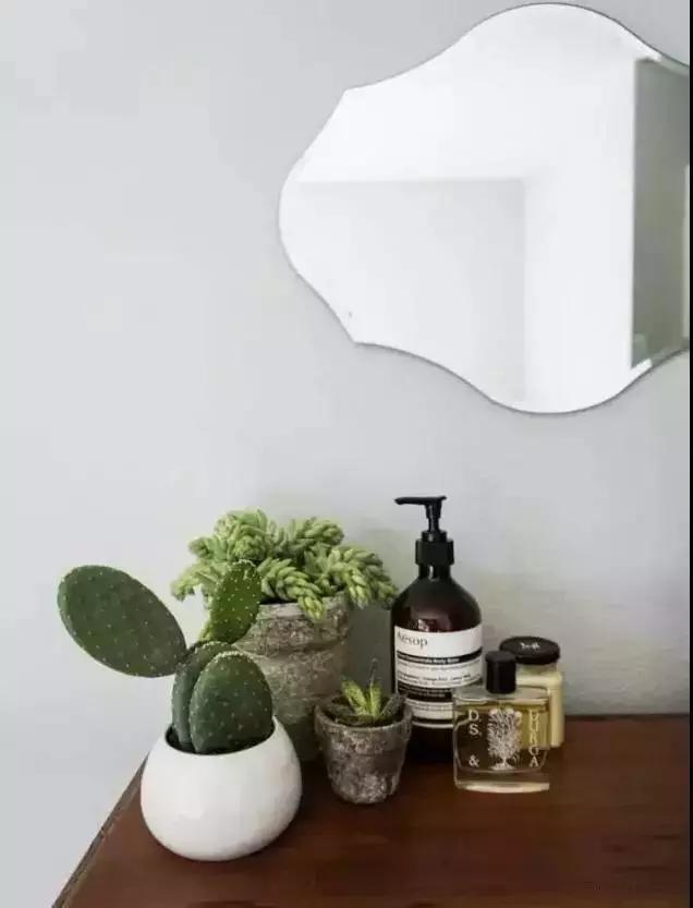 什么植物甲醛吸附好,房间里吸收甲醛的植物有哪些