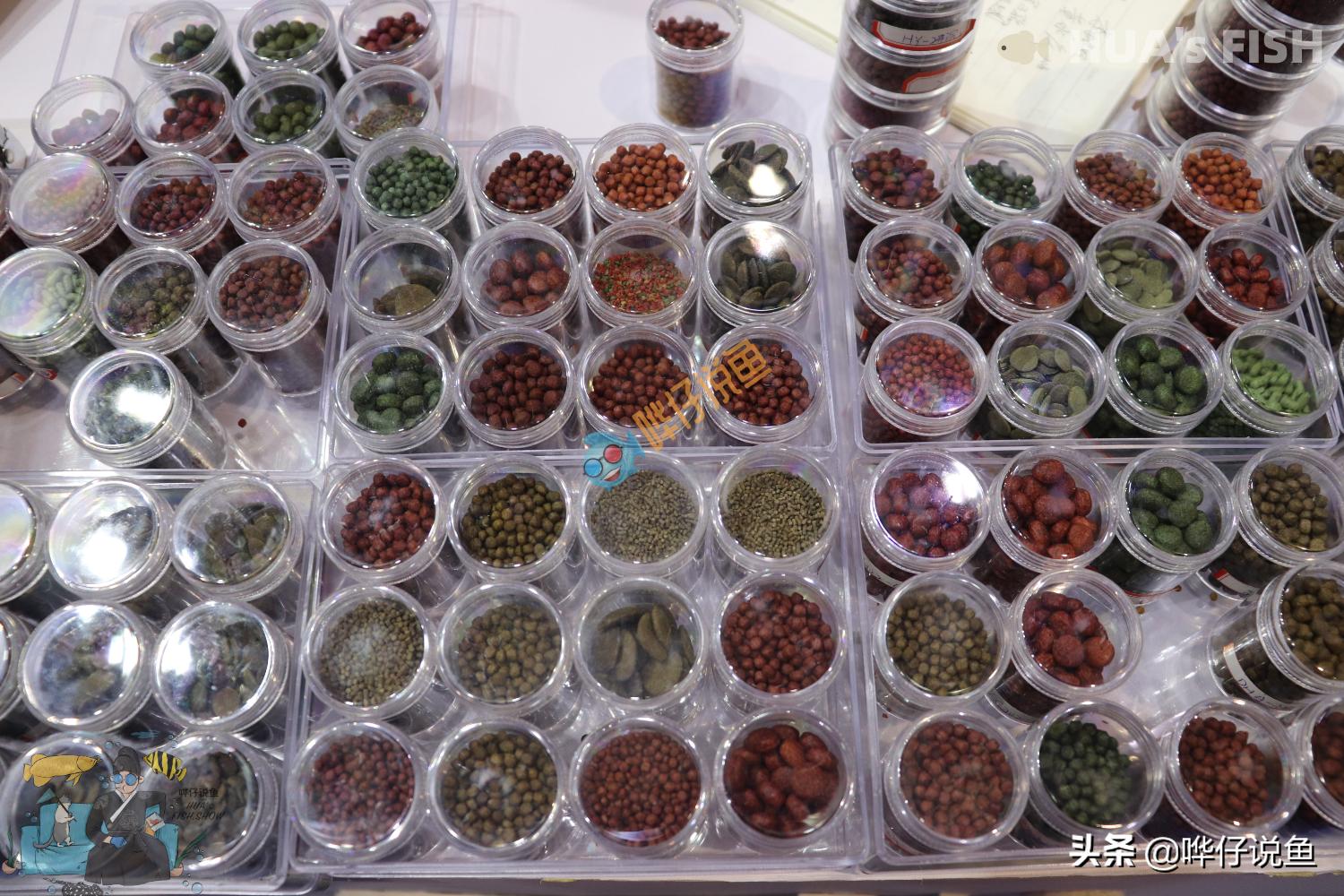 鹦鹉鱼水发黄是怎么回事,养鹦鹉鱼鱼缸水浑浊怎么变清