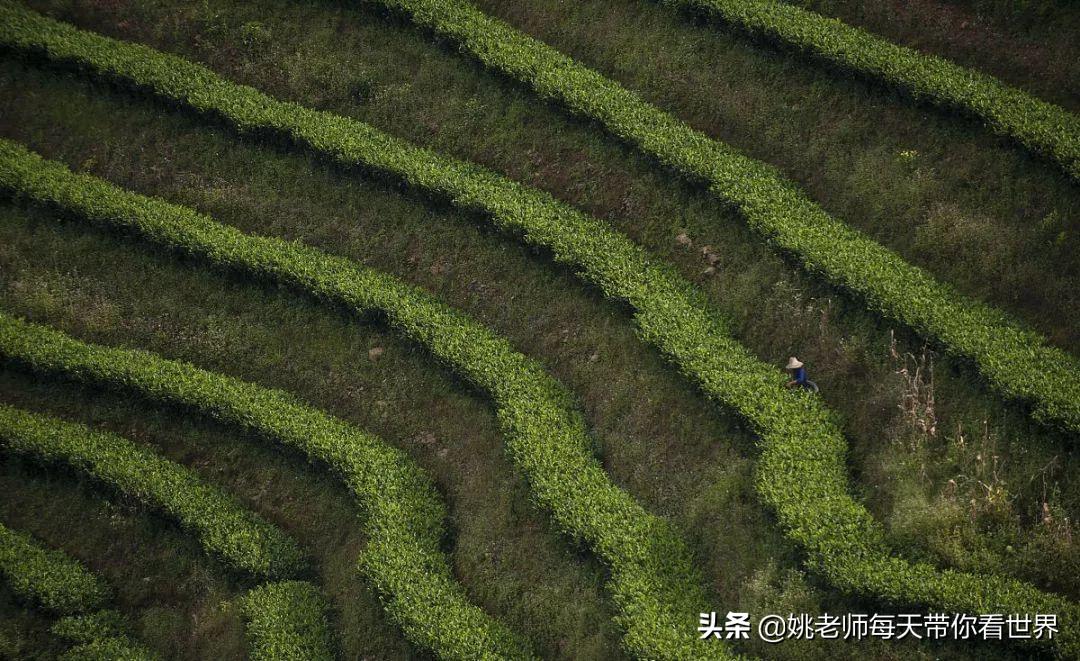 2月旅游灵感,旅游2月攻略最佳自由行