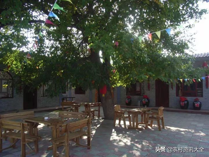 农村不愁销路的10个小生意,现在农村有什么比较好的赚钱门路