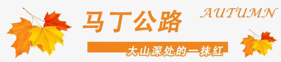 黄山秋景几月去最好,秋天几月份去黄山最好看的花海