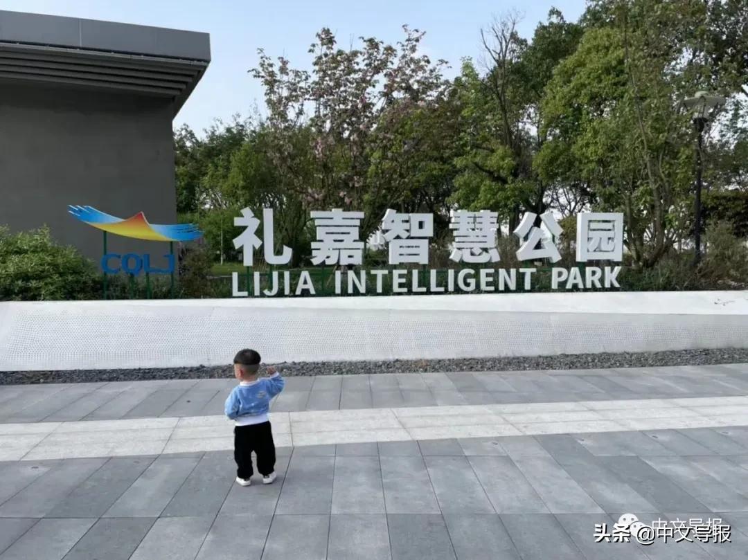 重庆礼嘉智慧体验公园视频,重庆礼嘉智慧公园一抹阳光