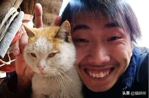 养猫可以让你变得更健康吗,老人养猫为什么比较乖玄学