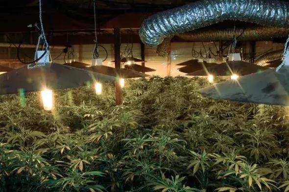 纽约上空蓝光,纽约上空的神秘蓝光