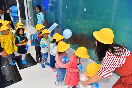 盒马报告,盒马生活区