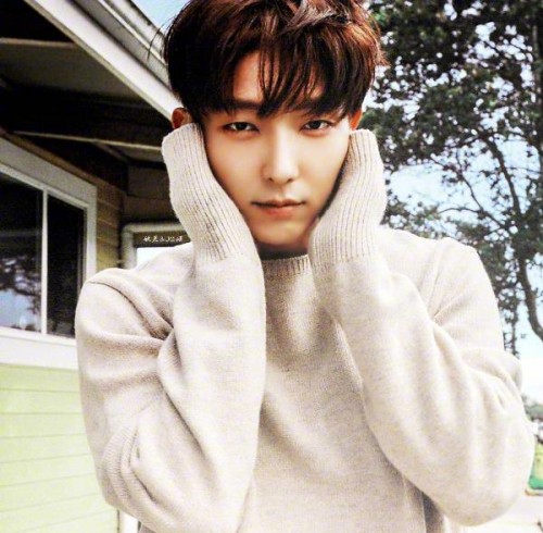 韩剧四大男神几个单眼皮,韩剧韩影