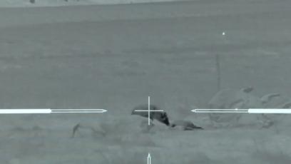 真正的狼灭：美国农场主一夜*击狙**45只郊狼，全套黑科技开挂了