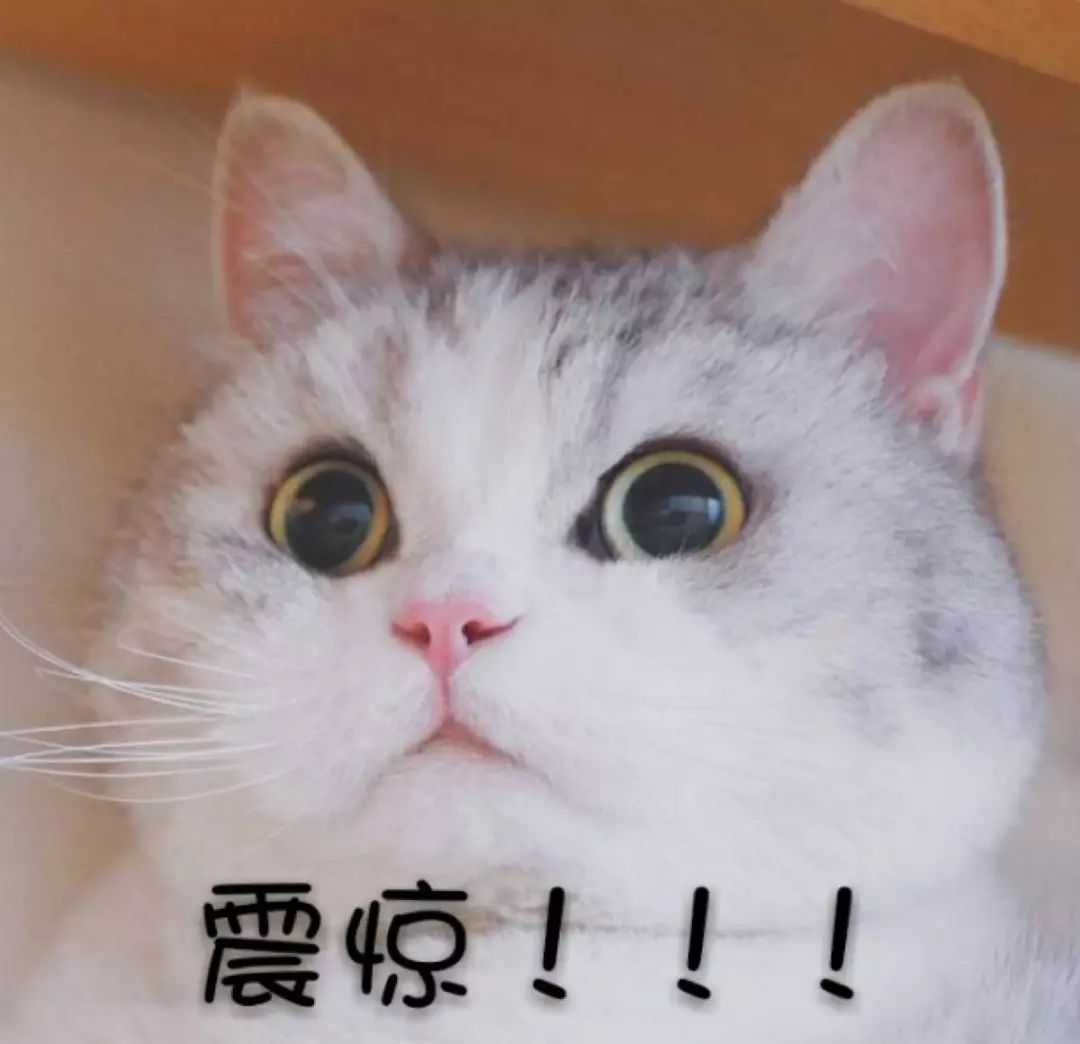 你的手机app有违规行为吗,你手机有反诈app吗