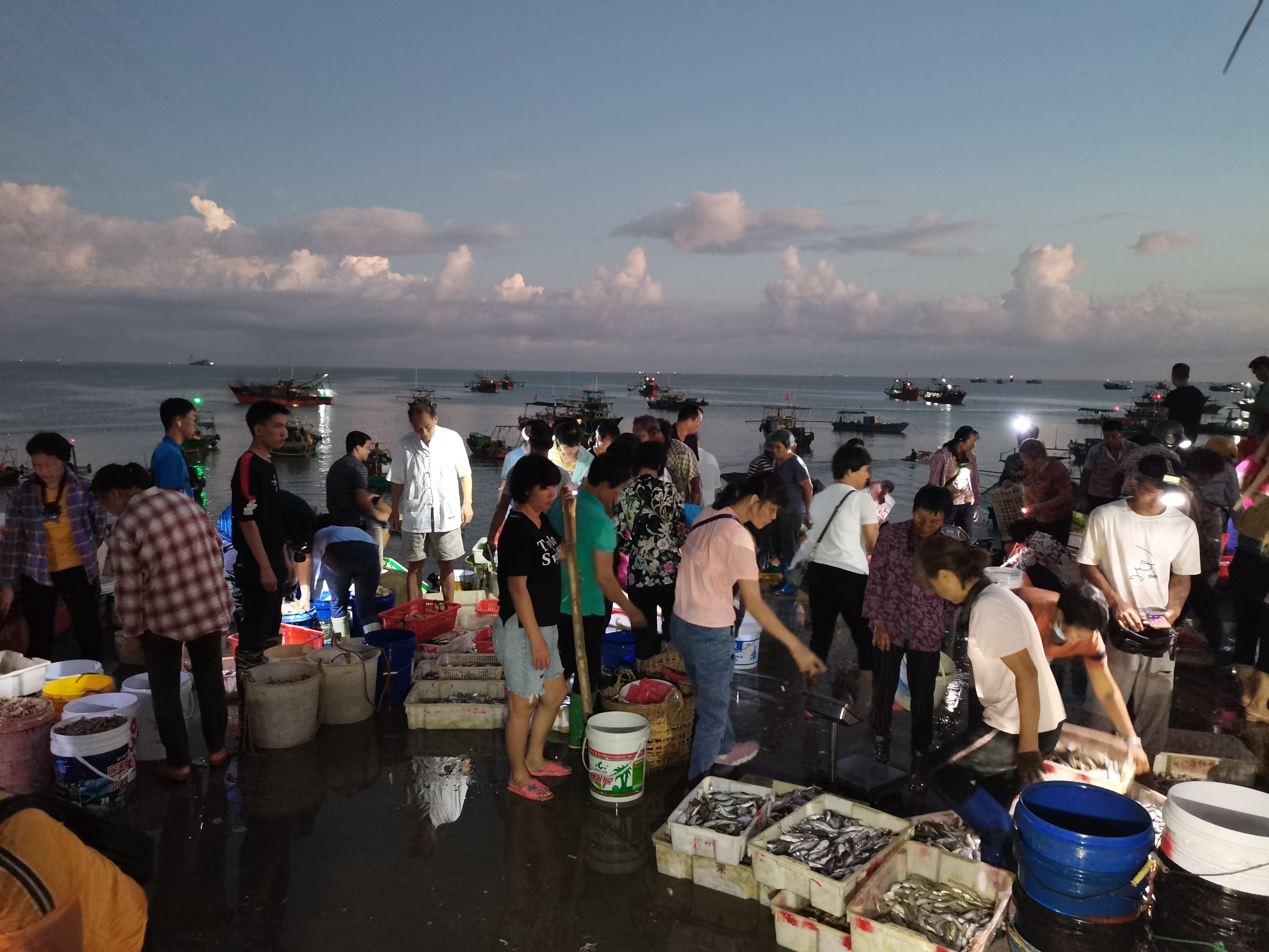 中国沿海地区捕蟹一天能赚多少,捕蟹一月能拿五万吗