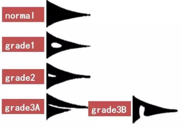 mri临床医师必读电子书,临床医生如何读mri