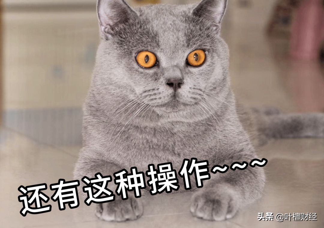 科创板破发,科创板新股打新亏2万