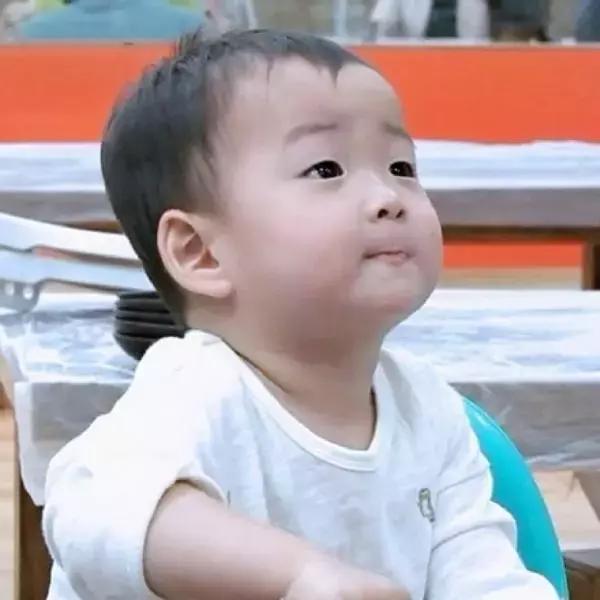 谢飞机随身携带的小绿包,谢飞机表情包视频