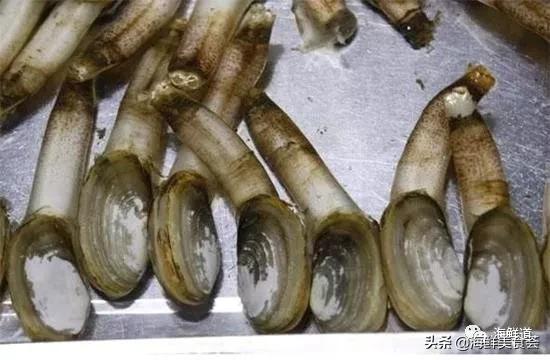好吃不贵的海鲜种类有哪些,最好吃又最常见海鲜有几种