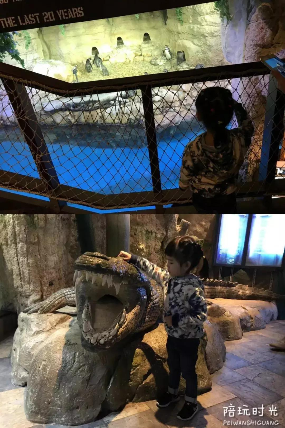 带孩子去迪拜旅游费用大概多少,带孩子去迪拜旅游攻略