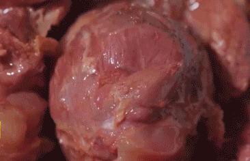 涡阳十大名吃排名,安徽涡阳的特点美食有哪些