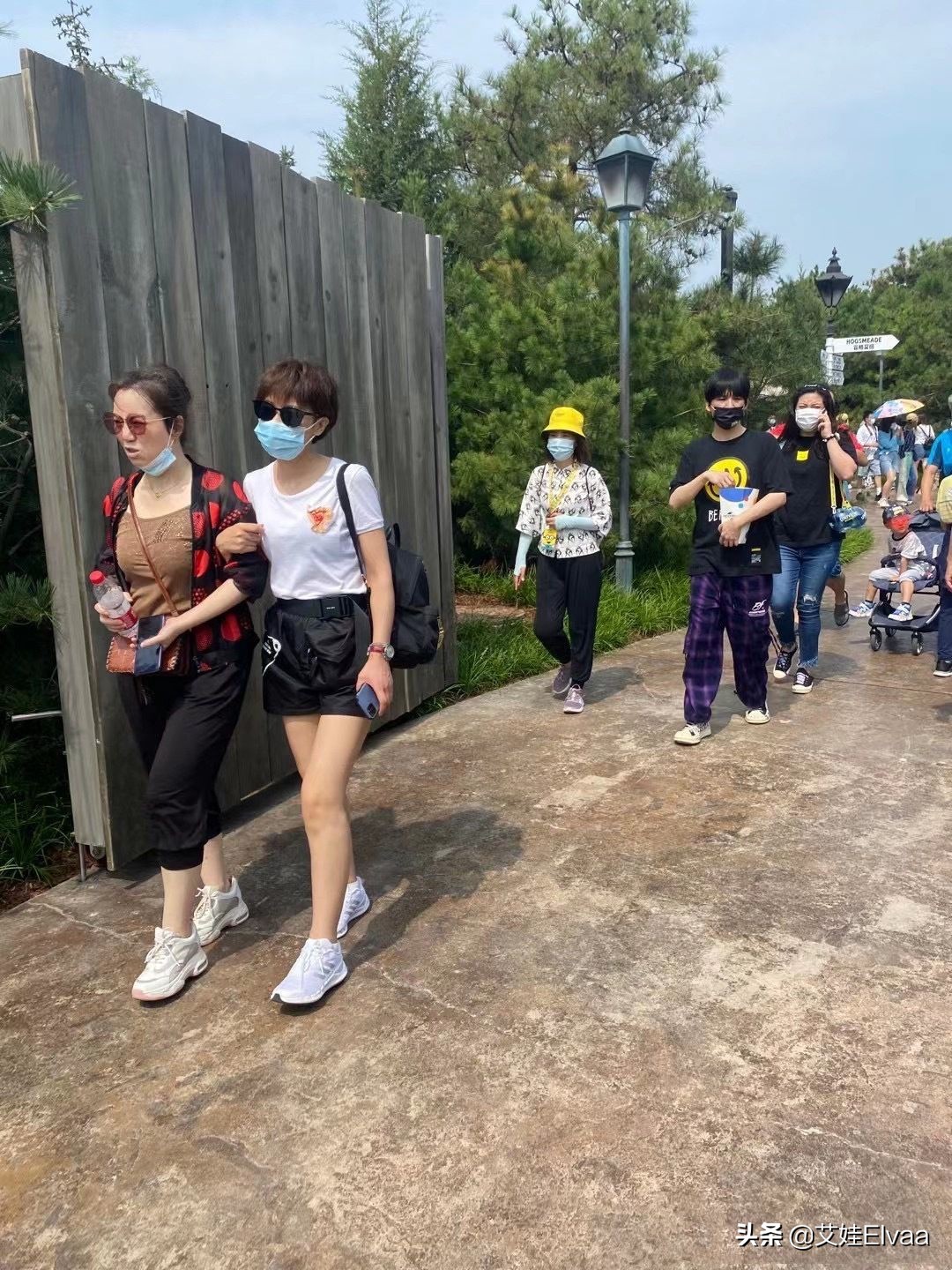 大张伟贾玲最新消息,大张伟和贾玲最新视频