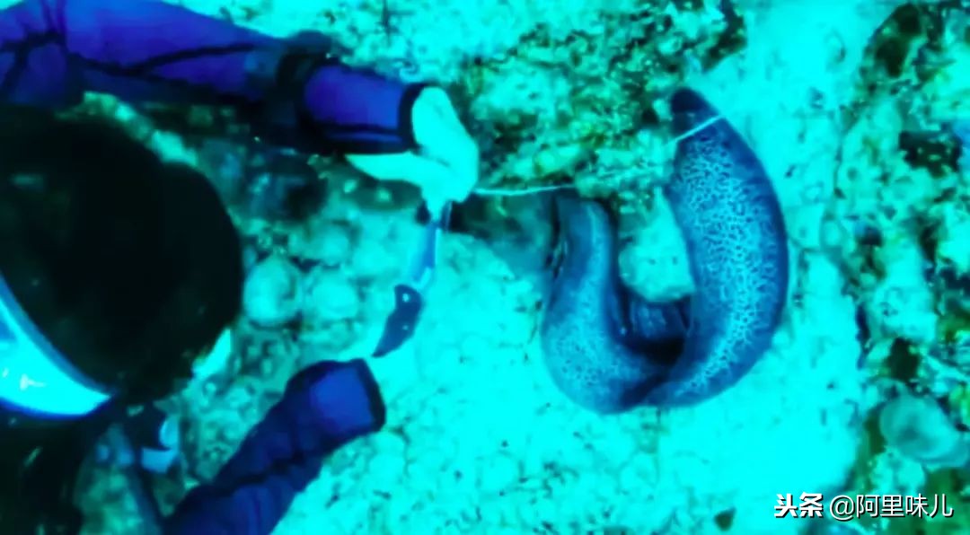 蚂蚁金服的一些项目,蚂蚁金服是怎么运作的