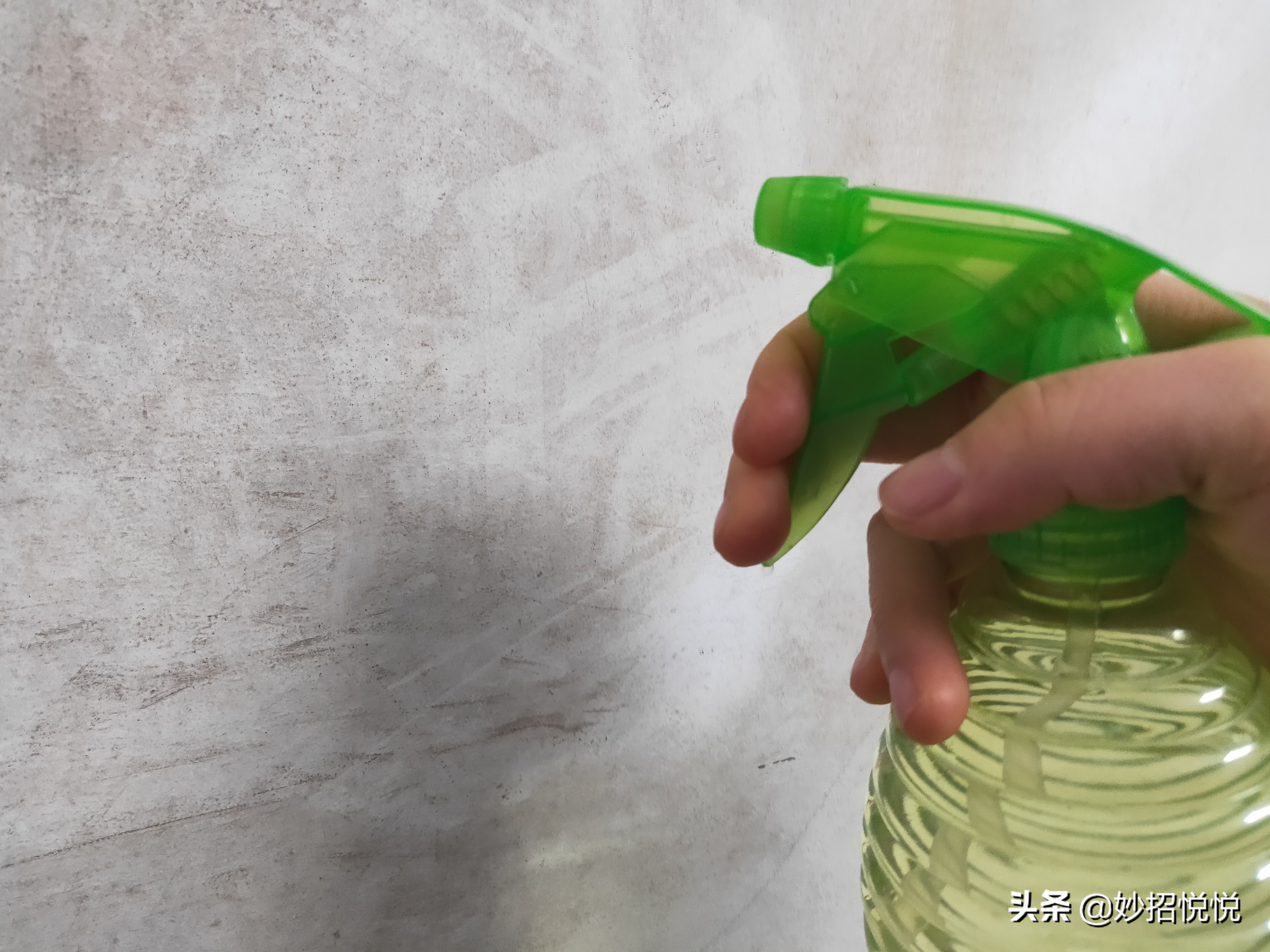 租的房子墙体返潮长霉斑怎么处理,家里墙壁快速除霉最好的方法