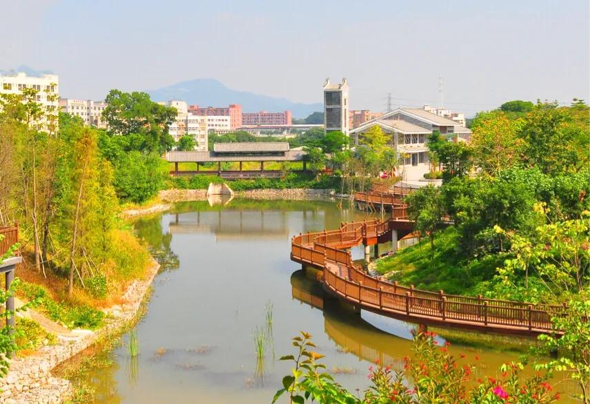 深圳花海公园推荐景点有哪些,深圳花海公园地址在哪里