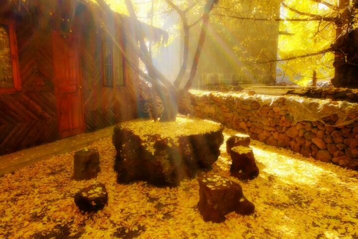 鎯呯壍绾㈠皹鍙惰惤娓呯鍥剧墖,鍙惰惤娓呯鎯呯壍绾㈠皹