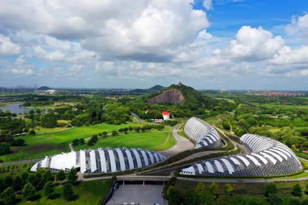 他出生河南，双一流博士毕业，手握国家级荣誉，还是上海市专门引进的人才！