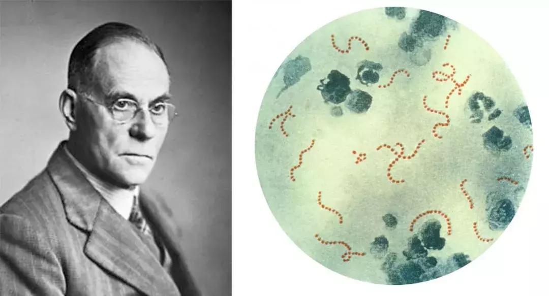 在救命这件事上，生物和化学真的不够|赛先生