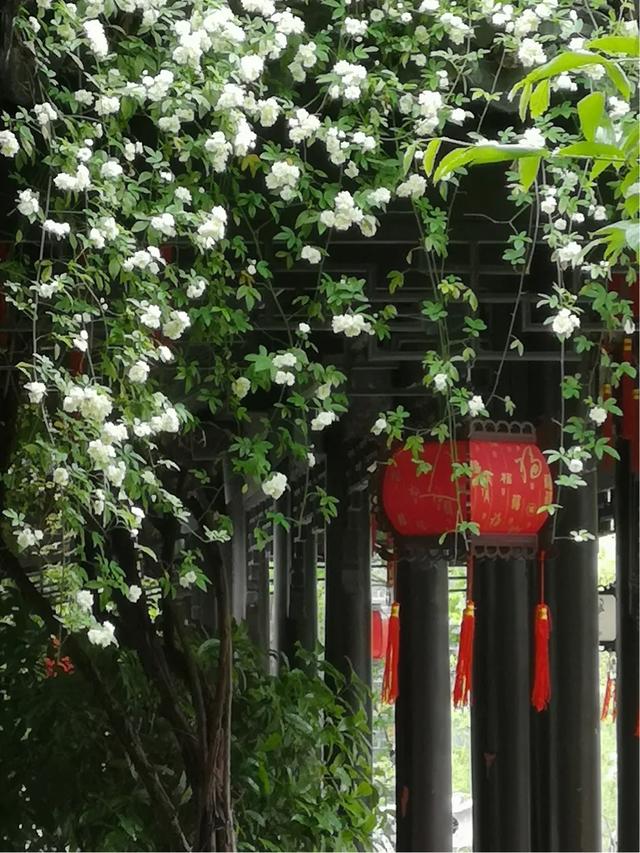 手拍世界微信公众号,手拍世界283期